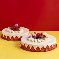 Fraisier de printemps